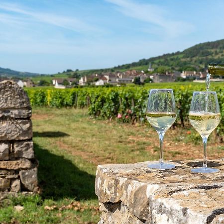 Charmante Maison Climatisee Avec Son Jardin A 10 Minutes De Dijon Marsannay-la-Côte Eksteriør bilde